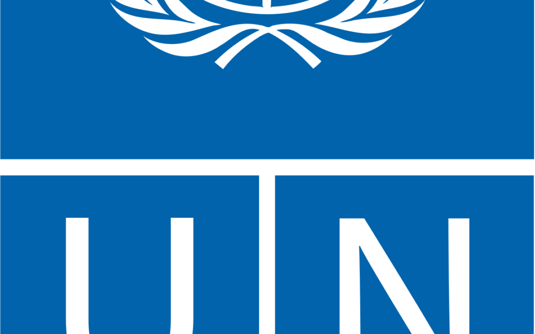 UNDP Procurement Notice – Pre-Qualification for Civil Works